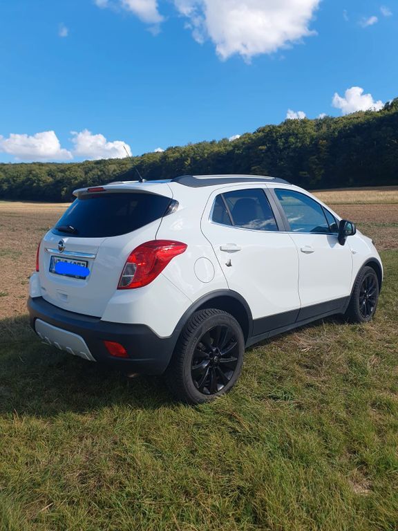 Mokka
