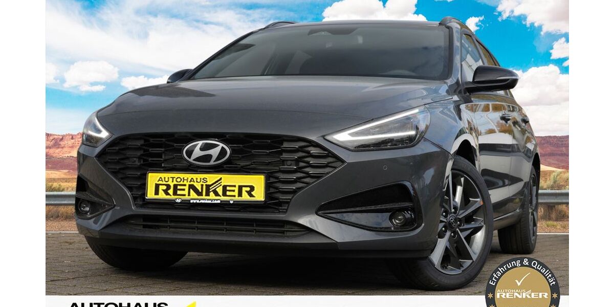 Hyundai i30 1.200 km 28.290 &euro; Darmstadt 64291