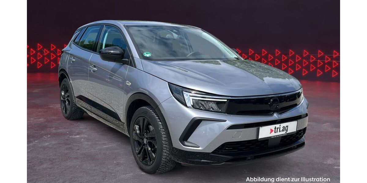 Opel Grandland (X) 23.627 km 24.990 &euro; Kippenheim 77971