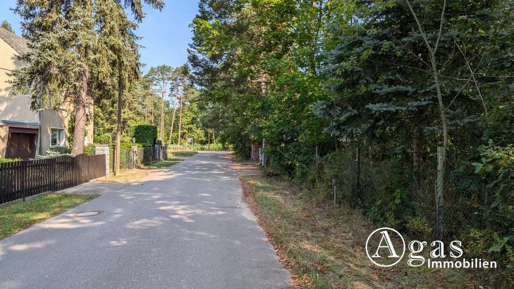Grundstück Borkheide - 199.000&euro; | Angebot:25196415