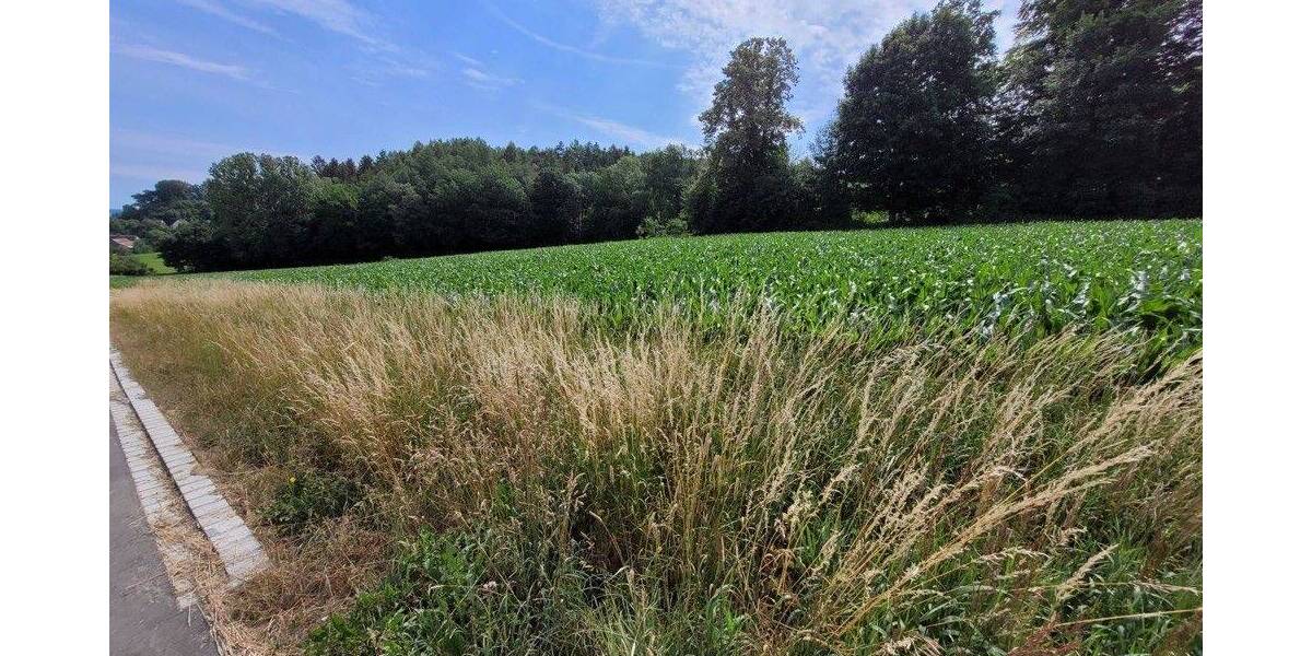 Grundstück Holzheim Eppisburg - 485.000&euro; | Angebot:25668362