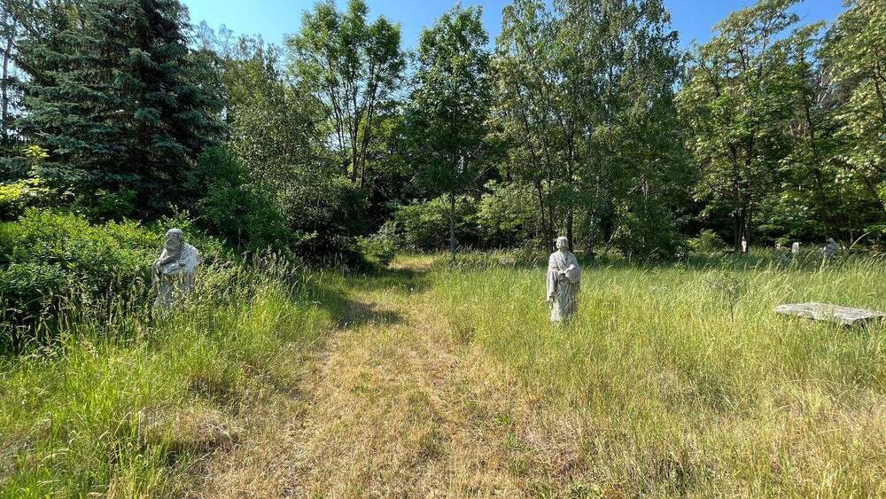 Grundstück Kemberg Gniest - 500.000&euro; | Angebot:25999317