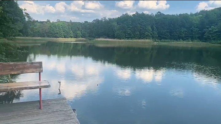 Bungalow Petershagen/Eggersdorf Eggersdorf - 3 Zimmer, 80 m&sup2;, 1.250&euro; | Angebot:26099391