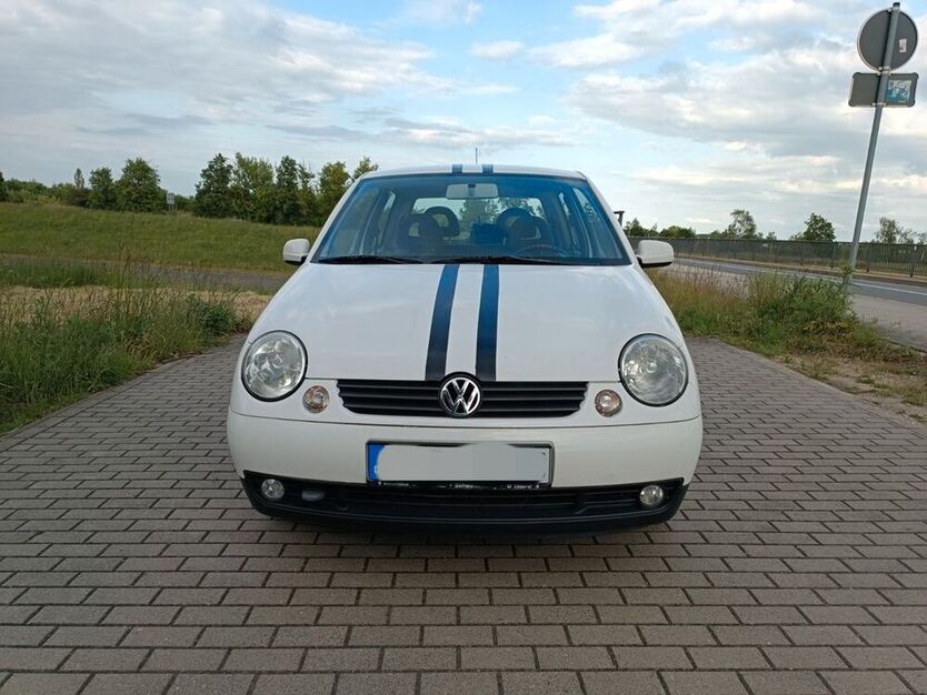 Lupo