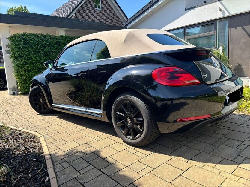 Beetle