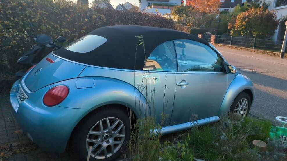Beetle