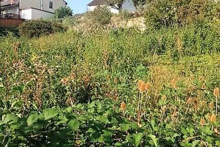 Grundstück Treuchtlingen - 165.000&euro; | Angebot:25680451