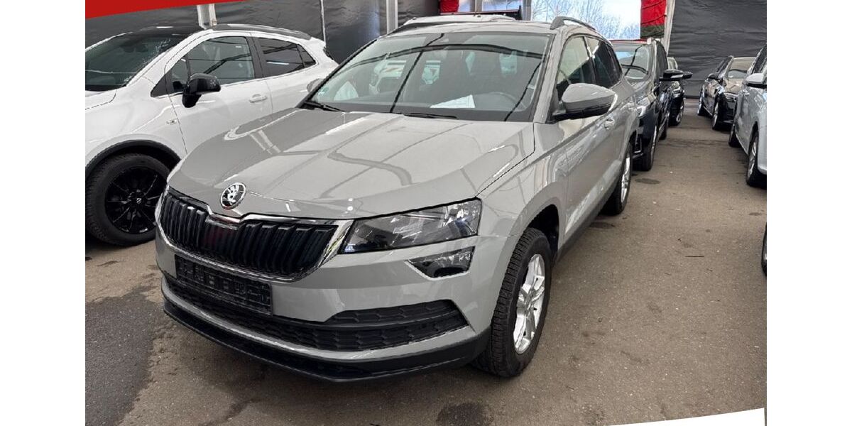 Skoda Karoq 44.600 km 18.250 &euro; Bebra 36179
