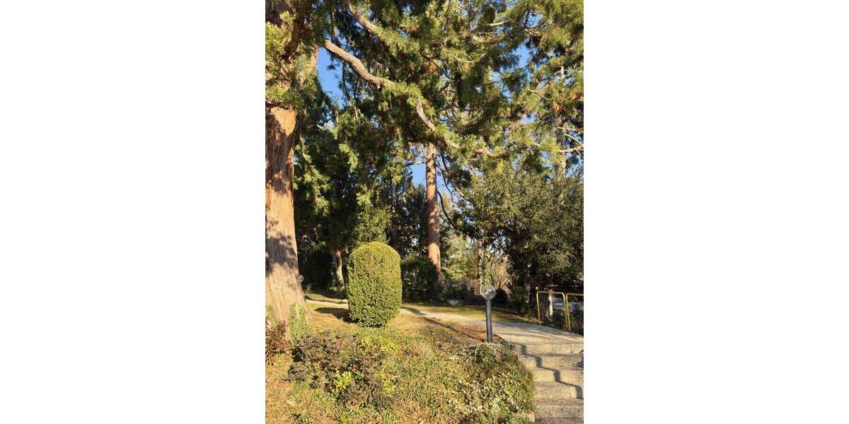 Etagenwohnung Korntal-Münchingen Korntal - 2 Zimmer, 75 m&sup2;, 269.000&euro; | Angebot:26826699