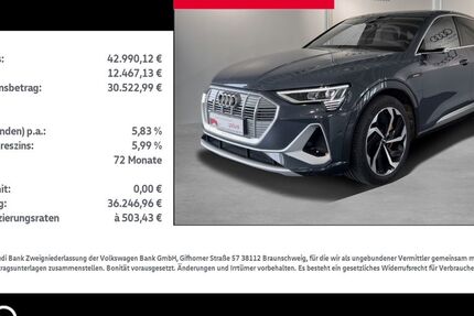Audi e-tron 42.146 km 41.890 &euro; Rostock 18059