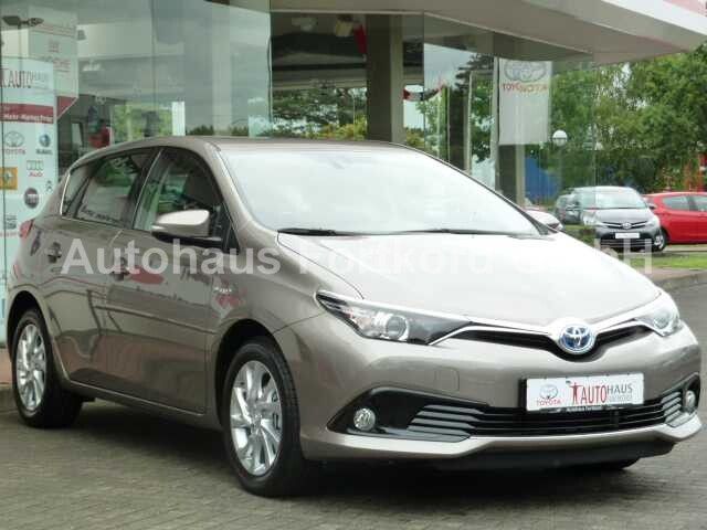 Auris