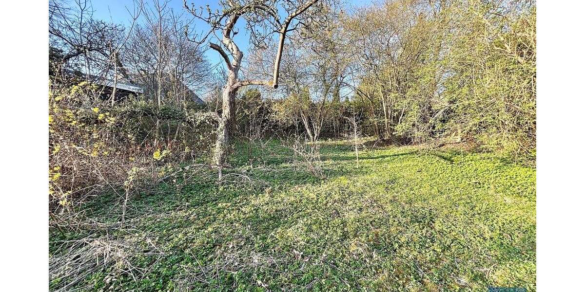 Einfamilienhaus Molfsee Schulensee - 4 Zimmer, 159 m&sup2;, 328.000&euro; | Angebot:25668089