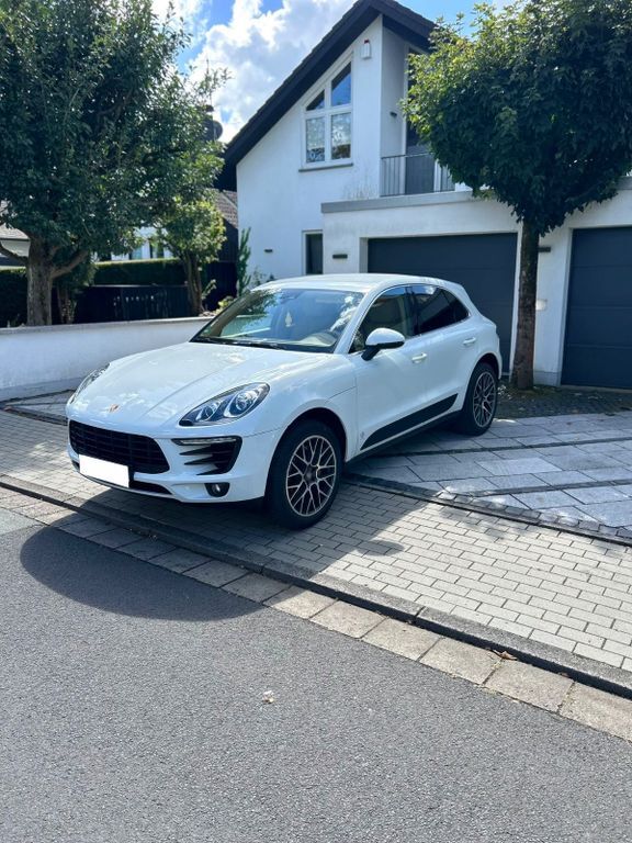 Macan