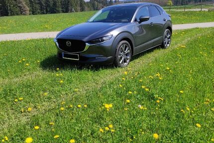 Mazda CX-30 28.500 km 22.999 € Horb a.N. 72160