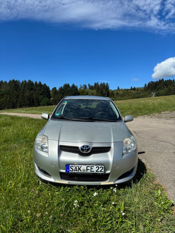 Auris