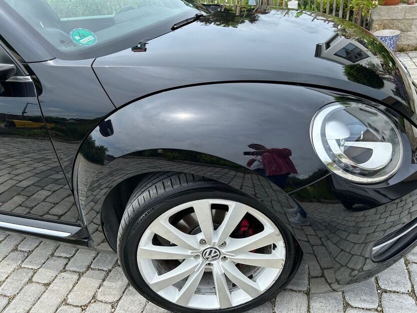 Beetle