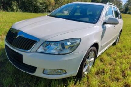Skoda Octavia 203.000 km 4.500 € Berg 88276