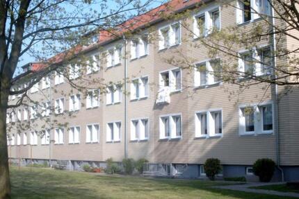 Wohnung Franzburg - 2 Zimmer, 48 m&sup2;, 333&euro; | Angebot:26480603