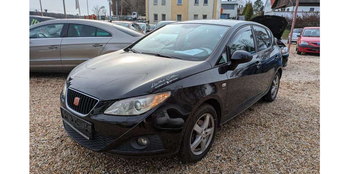 Seat Ibiza 124.000 km 4.490 € Reinsdorf 08141