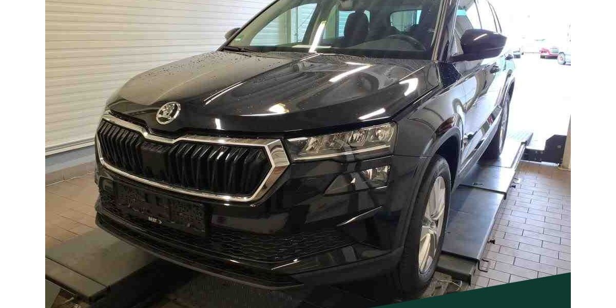 Skoda Karoq 75.300 km 28.449 &euro; Mühlheim 63165