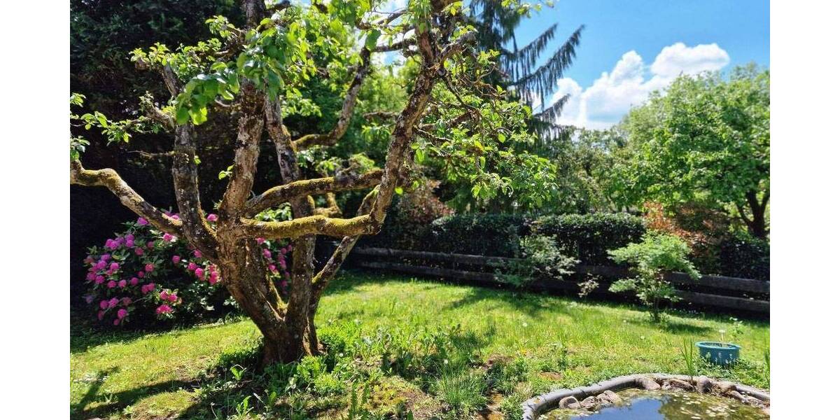 Einfamilienhaus Buchenbach Unteribental - 5 Zimmer, 160 m&sup2;, 697.000&euro; | Angebot:26768292