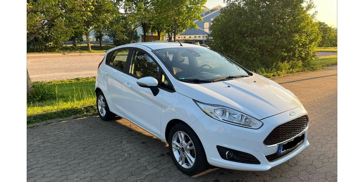 Ford Fiesta 139.500 km 5.199 &euro; Schonungen 97453