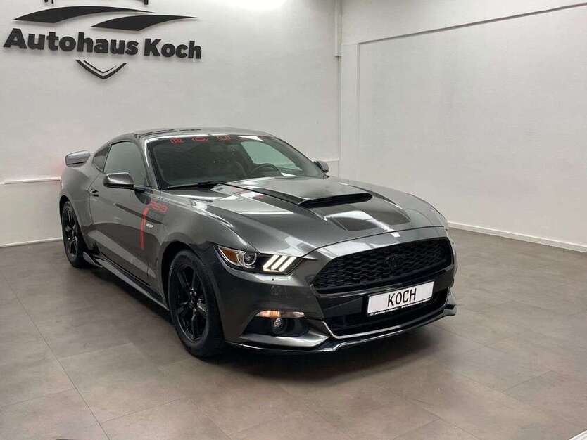 Mustang