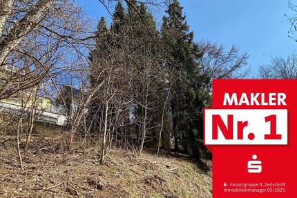 Grundstück Bad Berleburg Aue - 22.000&euro; | Angebot:25667709