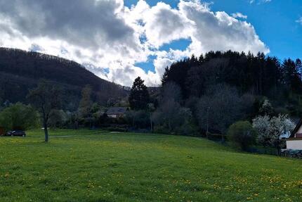 Teilsanierte Doppelhaushälfte in Unterlenningen 4 zimmer