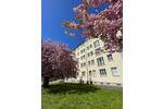 Zimmer Chemnitz Lutherviertel - 3 Zimmer, 63 m&sup2;, 362&euro; | Angebot:25899136