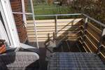 Etagenwohnung Friedrichskoog - 1 Zimmer, 43 m&sup2;, 159.000&euro; | Angebot:26359060