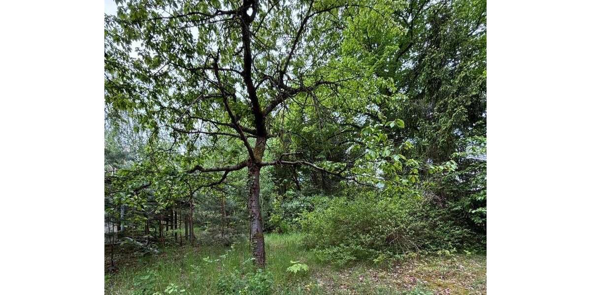 Grundstück Potsdam Krampnitz - 287.000&euro; | Angebot:27147266