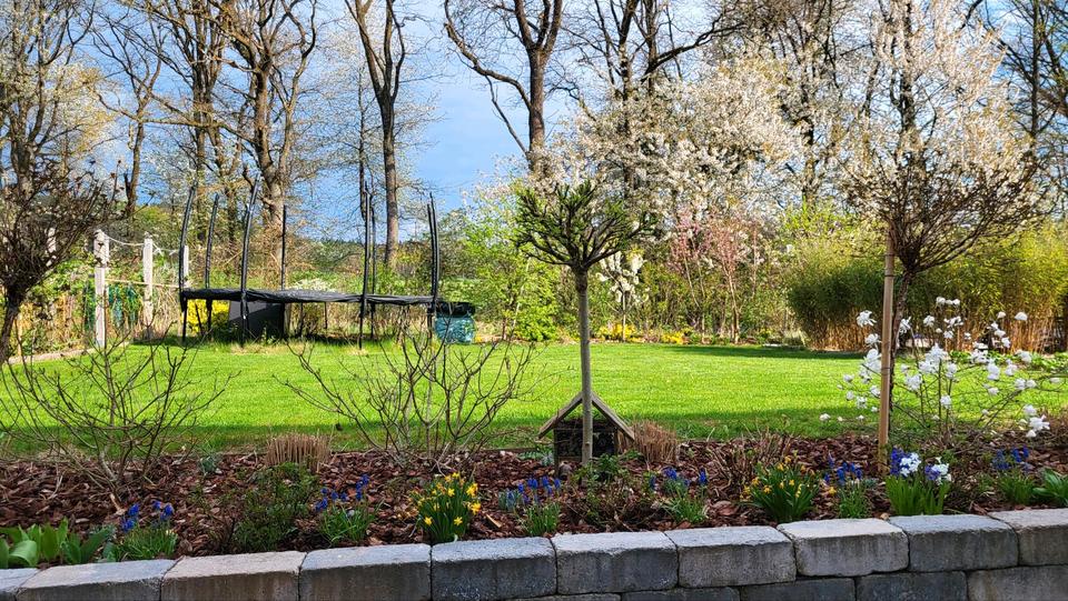 Terrassenwohnung Petersberg - 3 Zimmer, 126 m&sup2;, 1.500&euro; | Angebot:26091395