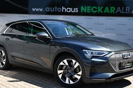 Audi e-tron 100.000 km 21.900 &euro; Reutlingen 72762