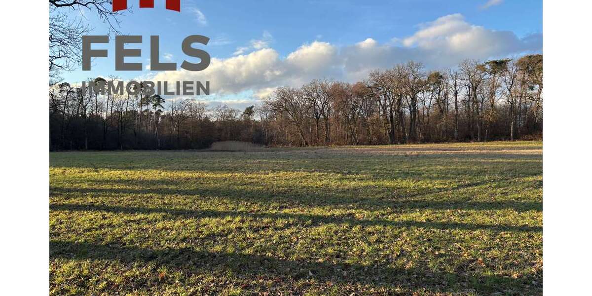 Grundstück Dreieich - 89.000&euro; | Angebot:24719822
