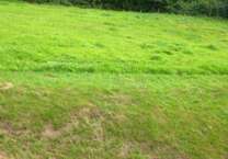 Grundstück zu verkaufen in Knüllwald-Appenfeld 19.500 € 720 m²