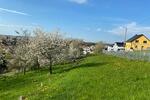 TRAUMGRUNDSTÜCK MIT UNVERBAUBAREM BLICK - Grundstück Ilmenau | Angebot:26184339