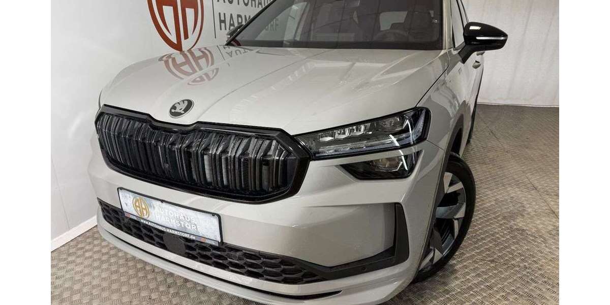 Skoda Kodiaq 1.025 km 43.975 &euro; Harmstorf 21228
