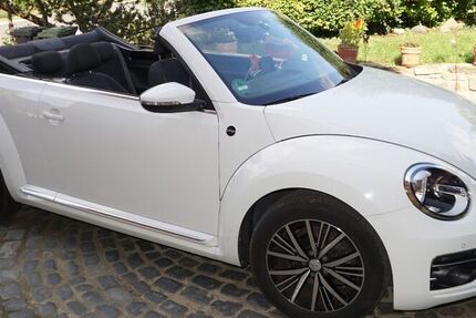 VW Beetle