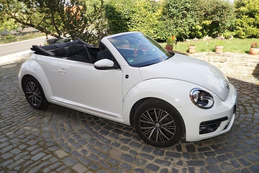 Beetle