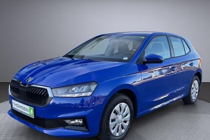 Skoda Fabia 1.100 km 17.890 &euro; Kropp 24848