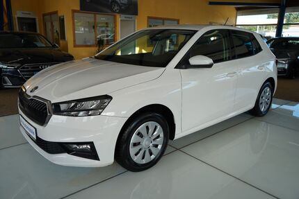 Skoda Fabia 110.000 km 11.680 &euro; Bad Doberan 18209