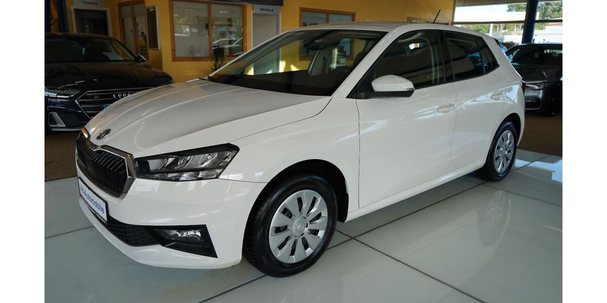 Skoda Fabia 110.000 km 11.680 &euro; Bad Doberan 18209