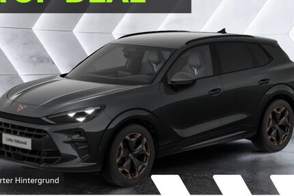 Cupra Terramar 17.500 km 36.424 &euro; Gelnhausen 63571