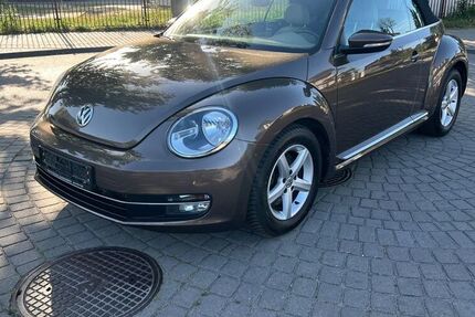 VW Beetle