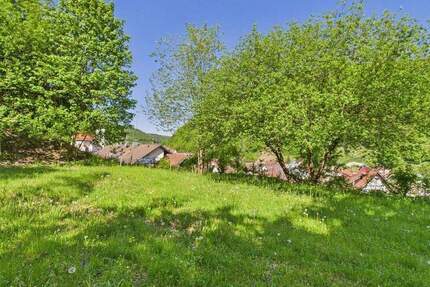 Grundstück Wiesensteig - 149.000&euro; | Angebot:25691620