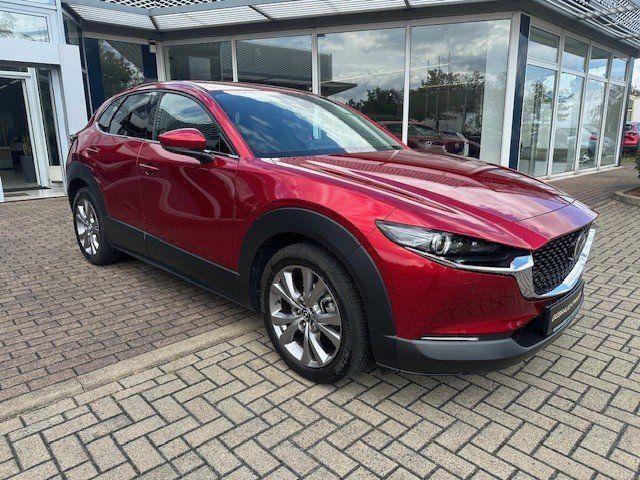 CX-30