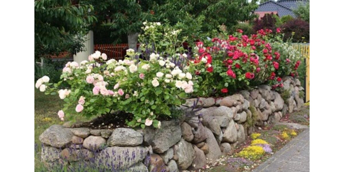 Einfamilienhaus Rechlin - 4 Zimmer, 83 m&sup2;, 230.000&euro; | Angebot:25869953