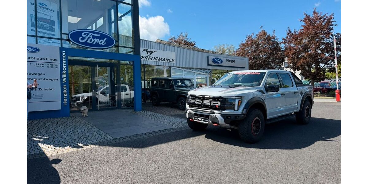 Ford F 150 4.000 km 124.450 &euro; Hofgeismar 34369