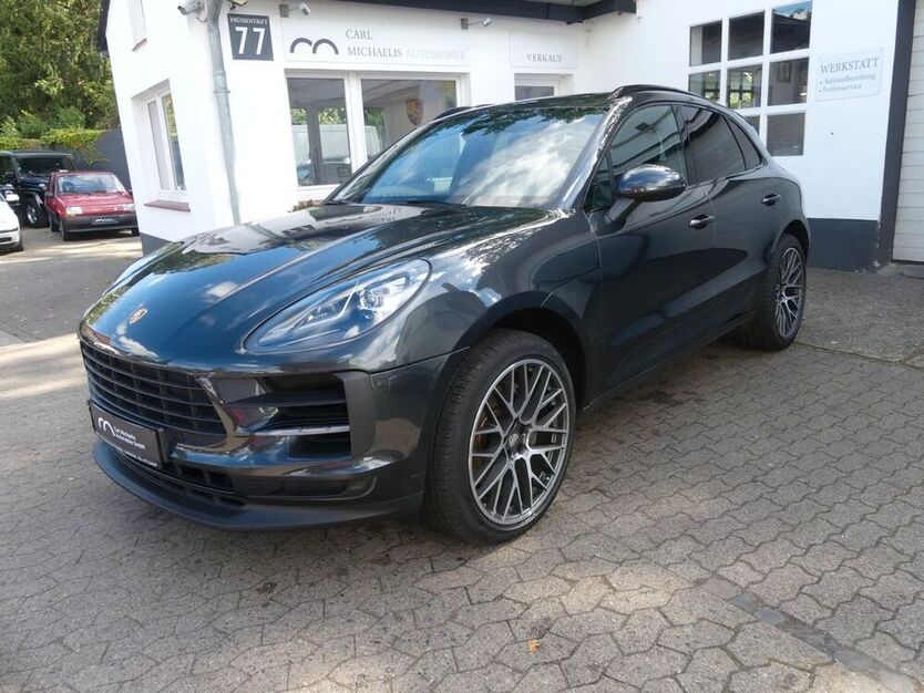 Macan